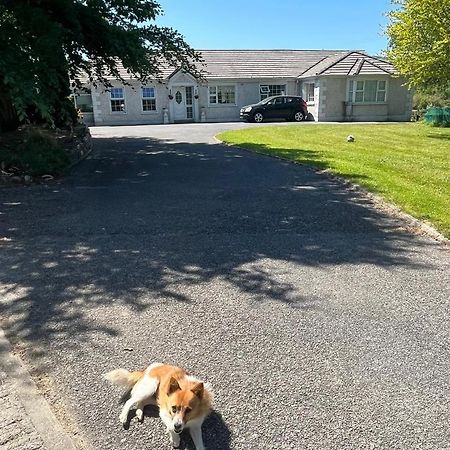 Graiguenamanagh Homestay المظهر الخارجي الصورة