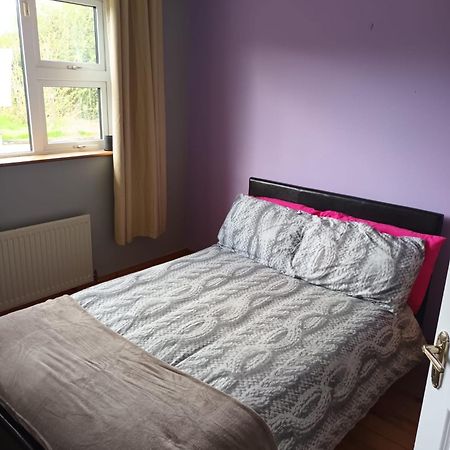 Graiguenamanagh Homestay المظهر الخارجي الصورة